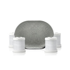 Qure silver shower filter set with four replacement cartridges